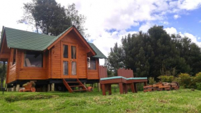 Tacama Cabañas y Camping